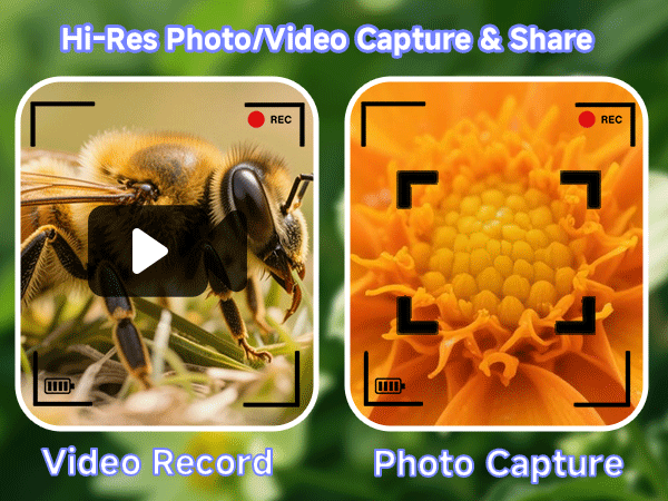 Microscope for Kids