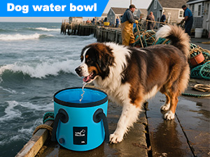 dog water bucket