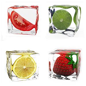 ice cube holder