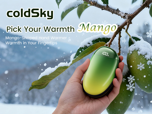 hand warmers rechargeable
