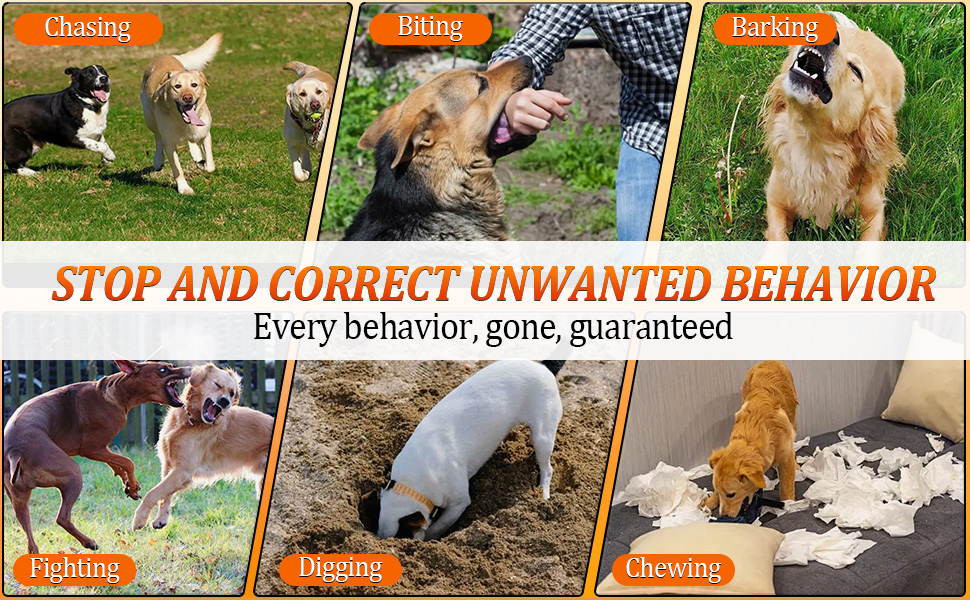 dog bark deterrent devices