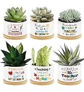 6Pcs Teacher Appreciation Gifts Succulent Pots Mini Ceramic Plant Pot with Bamboo Tray Cute Funny...