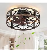 Caged Ceiling Fan with Light and Remote, 20" Low Profile Flush Mount Ceiling Fans with Light, 6 S...