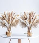 300PCS Natural Dried Pampas Grass Boho Home Decor Bouquet Phragmites Dried Flowers Bouquet for We...