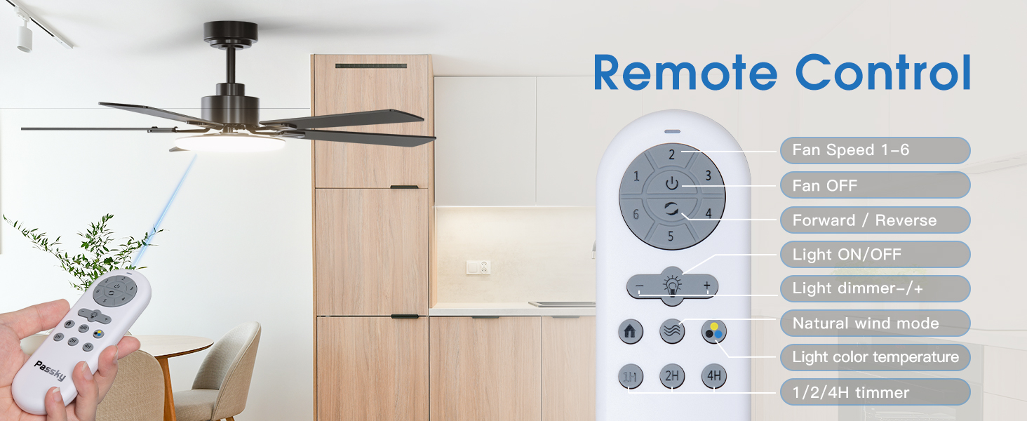 ceiling fan with remote control