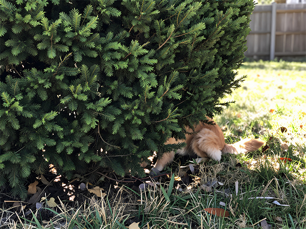 Key Finder 1 Transmitter 4 Receivers, 80dB+ Wireless Item Locator 164ft Range