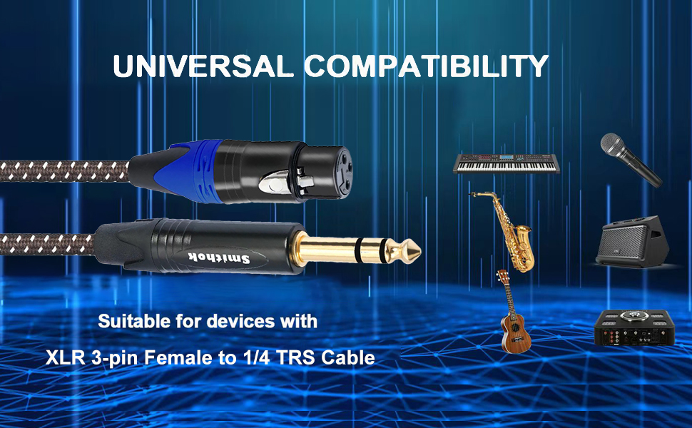 XLR female to 1/4 TRS A+-1