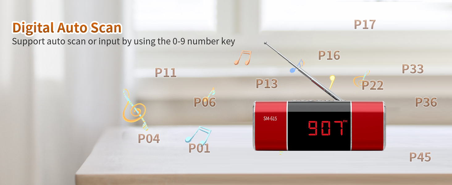FM Radio Bluetooth Speaker