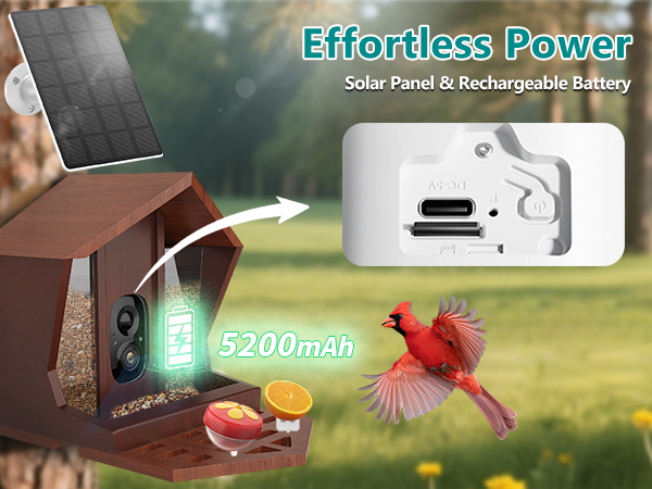 smart bird feeder with camera solar powered power wood wifi ai video live outdoor outside