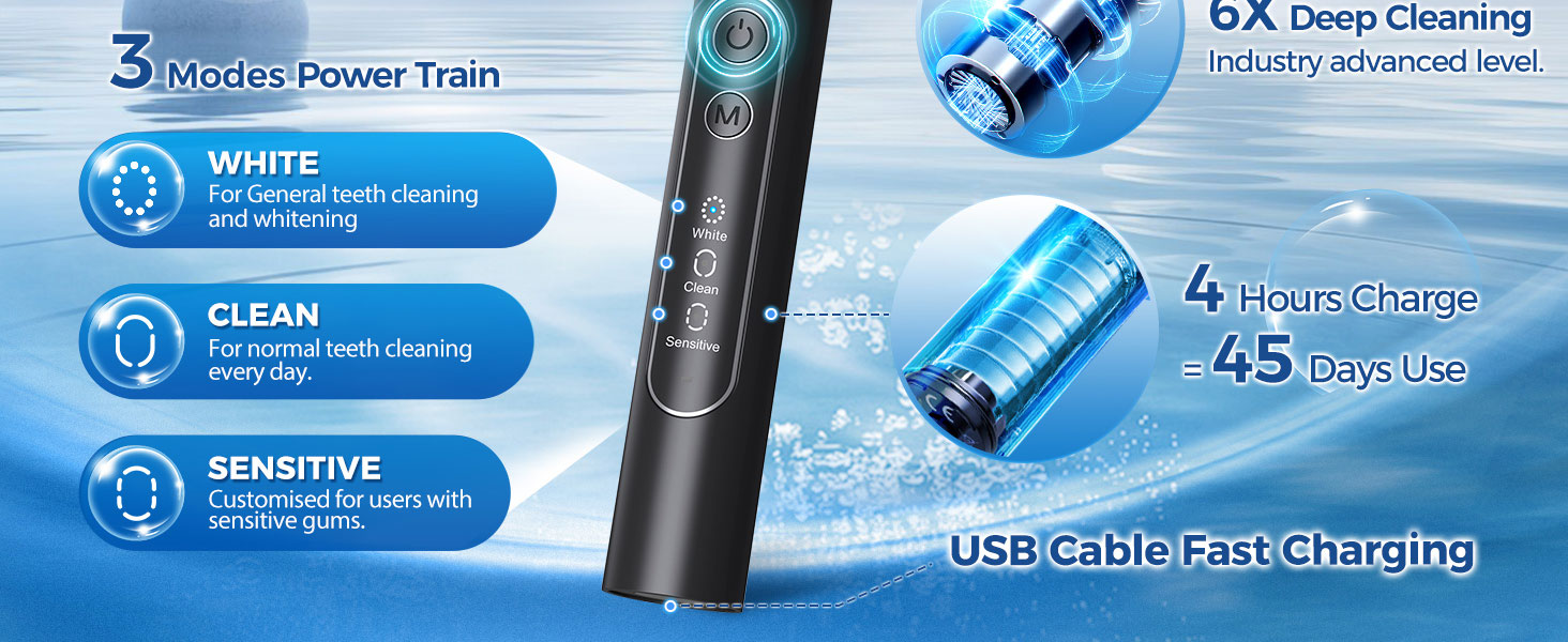 Rotating Electric Toothbrush for Adults