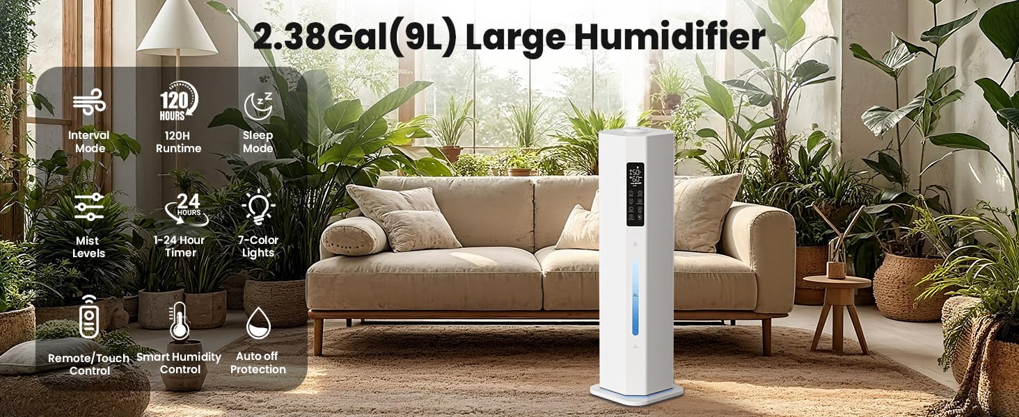 plants humidifier indoors