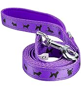 EcoBark Dog Leash - 4 FT / 5 FT / 6 FT Reflective Dog Leash- Eco-Bright Dog Leashes with Padded H...