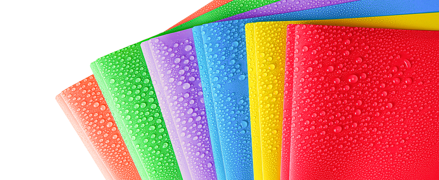 FUCDTEFC 2 Pocket Folder with Prong