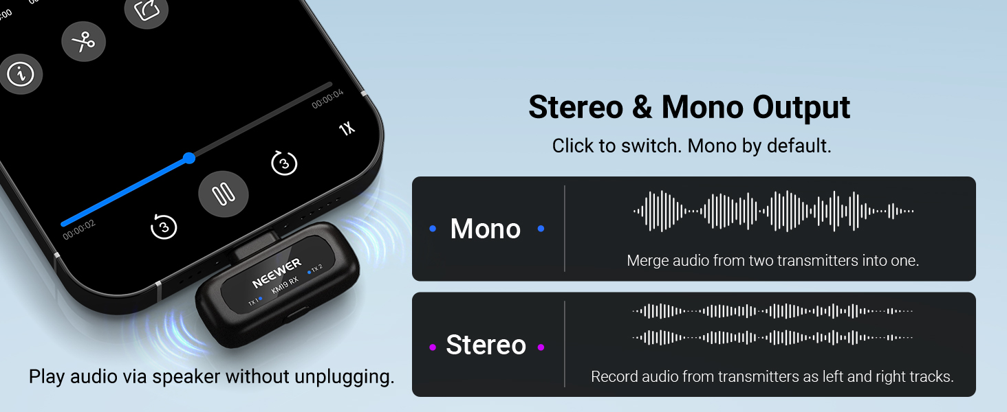 Stereo &amp;amp; Mono Output