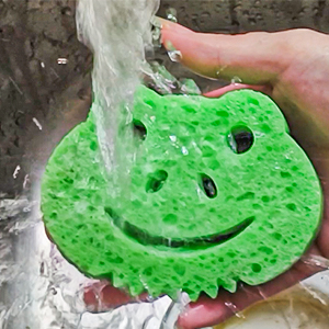 Cleaning Sponges