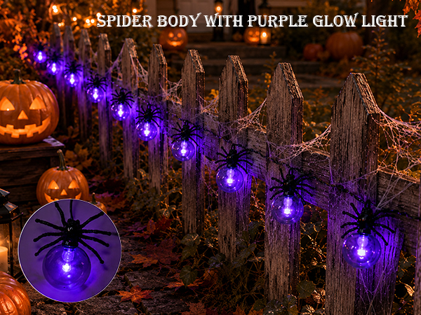 Design for Halloween Indoor &amp;amp; Outdoor Decoration