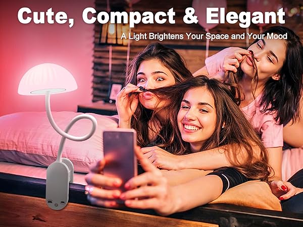 portable clip lamp for travel