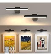 L LOHAS LED 2 Pack Picture Lights for Wall, Rechargeable Battery Operated LED Picture Light with ...