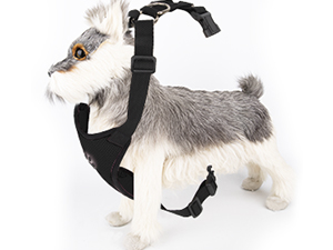 dog harness