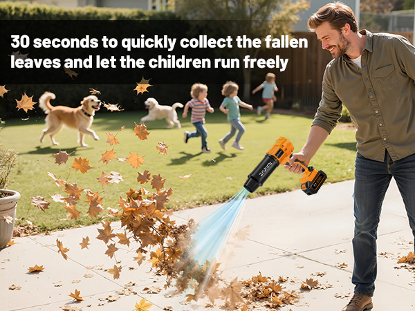 Cordless Leaf Blower