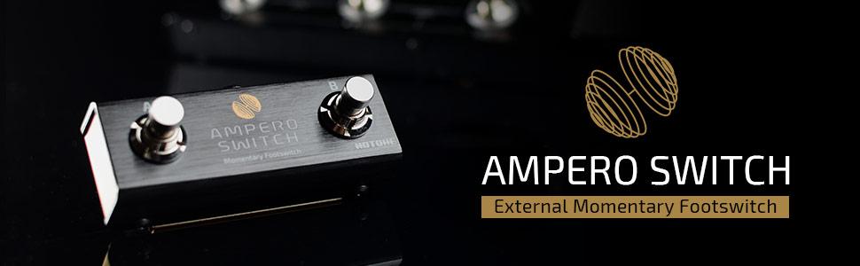 Dual Footswitch Pedal