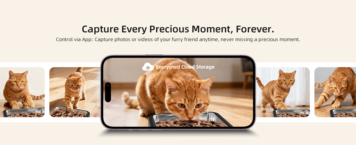 automatic cat feeder