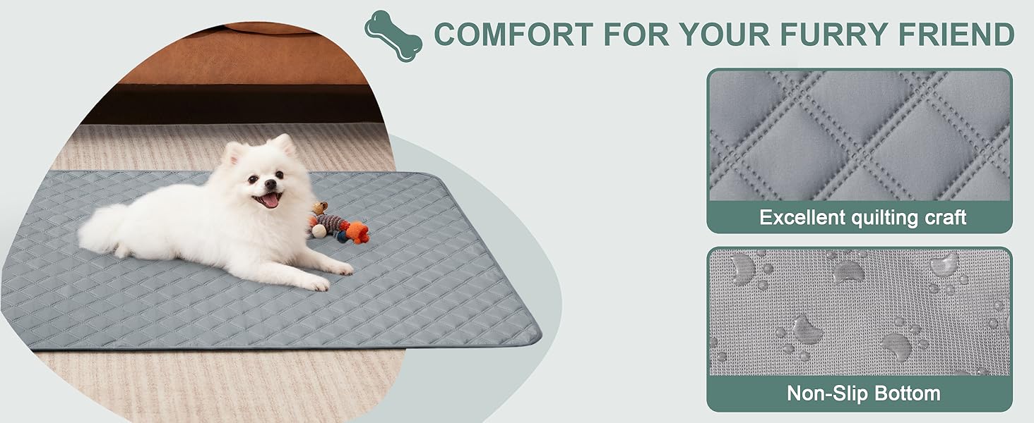 comfort for your furry friend