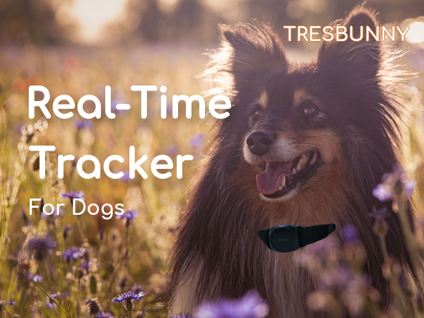 gps pet tracker