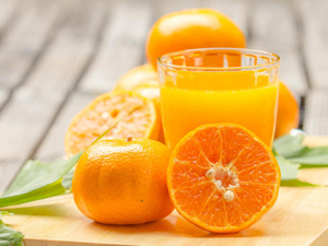 electric citrus juicer