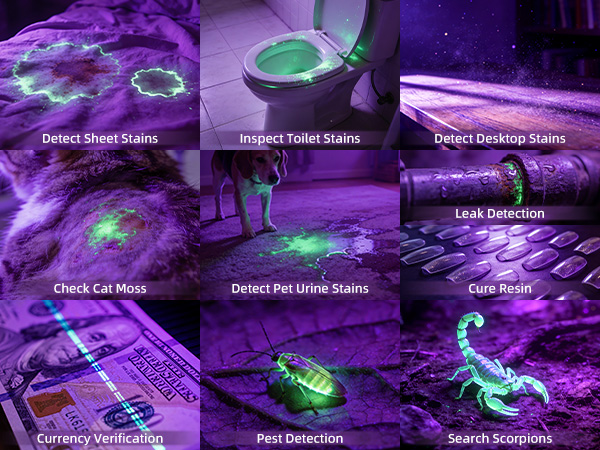 uv flashlight&amp;#39;s using
