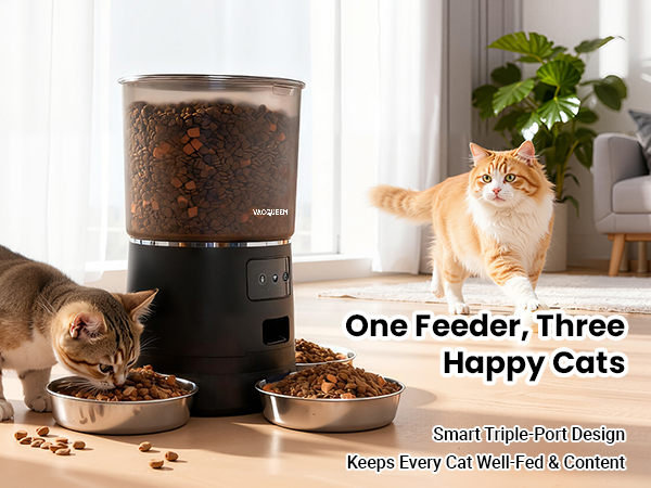 automatic cat feeder