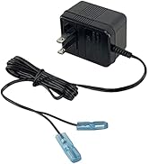 Durablow 3V AC Wall Adapter Transformer Compatible with Dexen Fireplace Electronic IPI Pilot Igni...