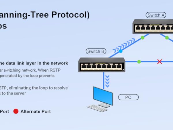 Full Gigabit Easy Web Managed Ethernet Switch