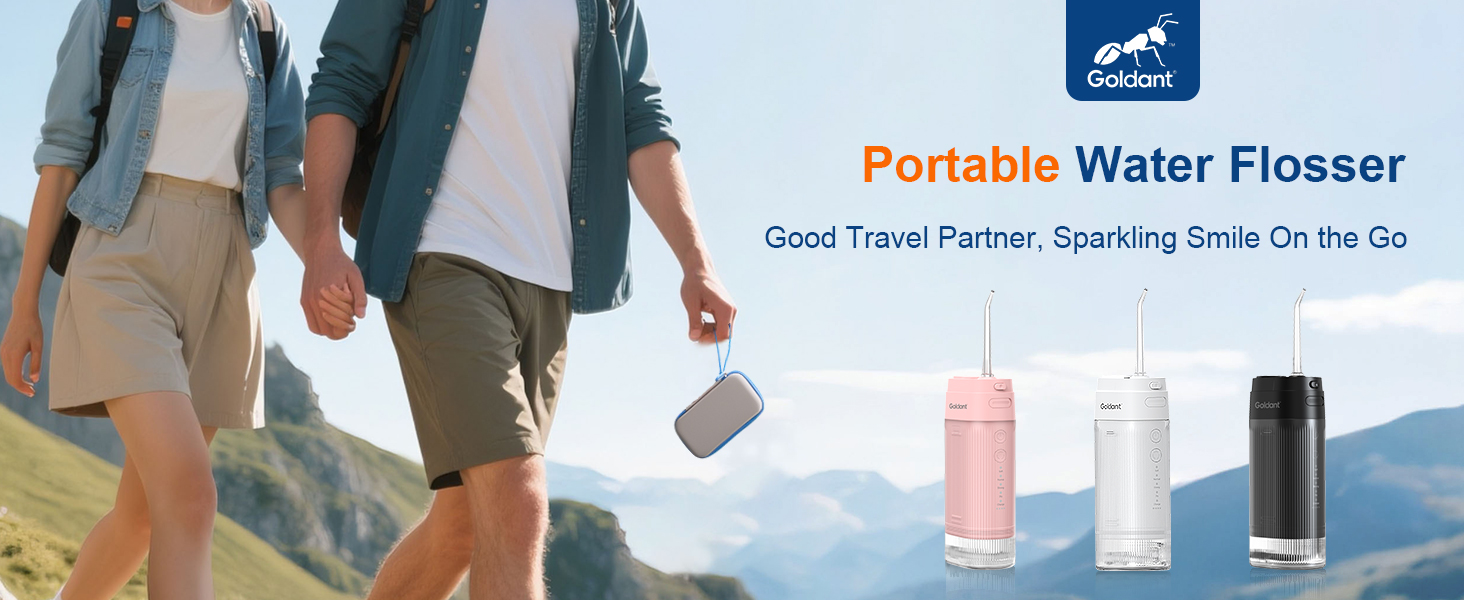 Portable water flosser