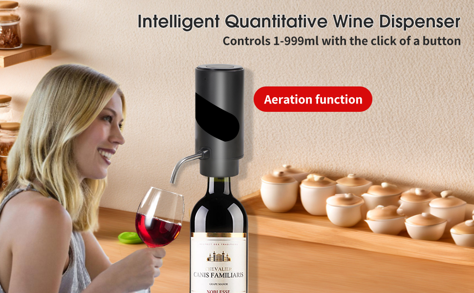 wine dispenser wine aerator wine decanter with aerator