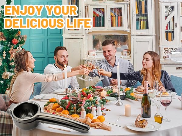 Heavy Duty Lemon Juicer