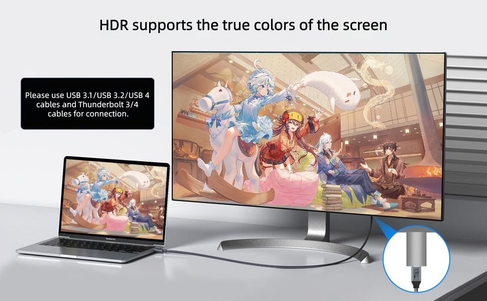 USB C Female to HDMI Male Adapter