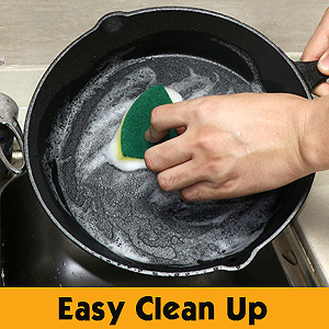 seasoned cast iron skillet