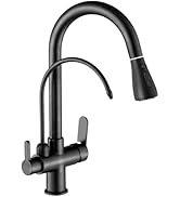 NCONCO Pull Down Kitchen Ffaucet, 3-in-1 Dual Handle Sink Faucet with Pull Down Sprayer & Drinkin...