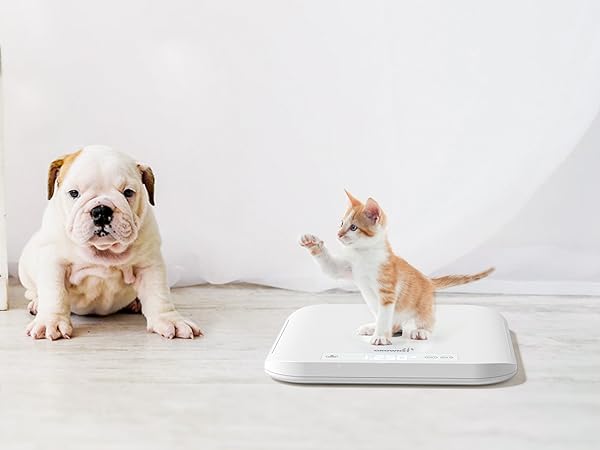 baby scale