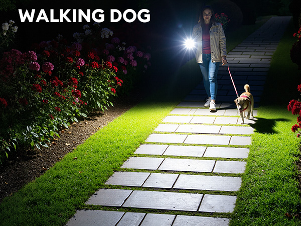 WALKING DOG