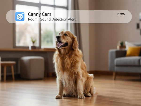 sound detection baby camera