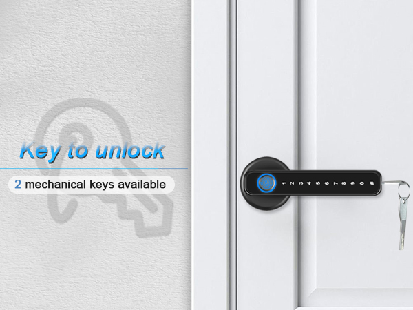 keys to unlock the door