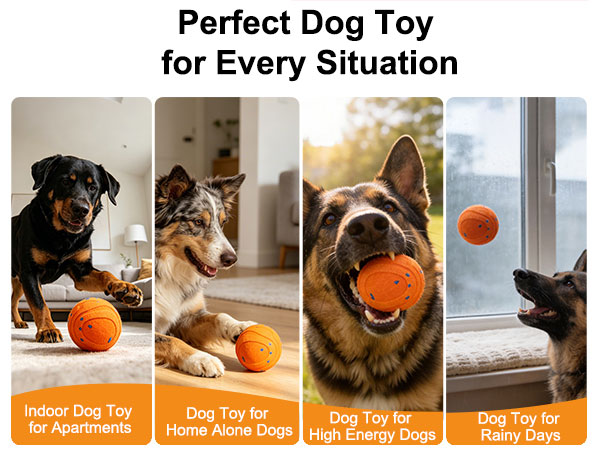 Perfect Dog ChewToy for Every Situation - Indoor/Outdoor/Active/Bored