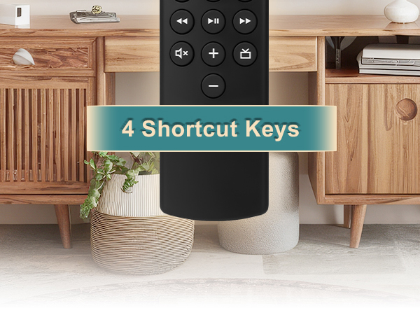 Voice Remote Control