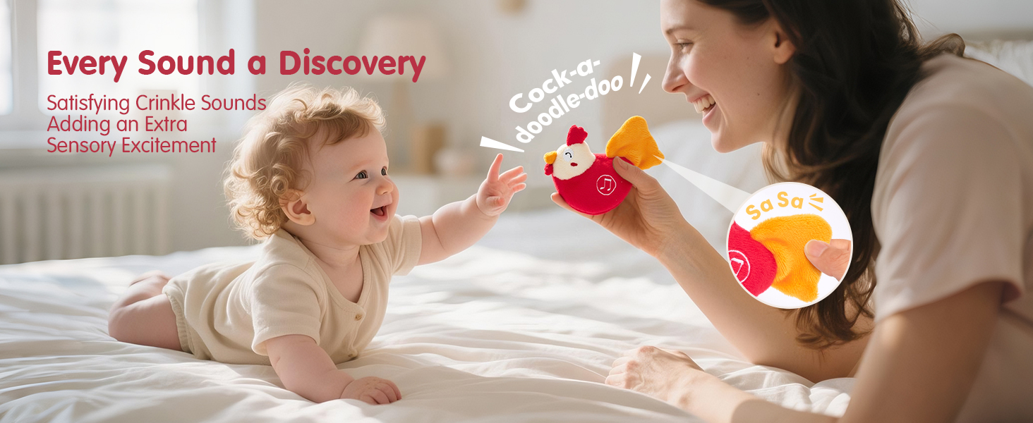 Baby Toys 6-12 Months