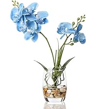 https://m.media-amazon.com/images/S/aplus-media-library-service-media/1d05b42b-13d4-471f-bd28-d56763bde921.__AC_SR200,225___.jpg
