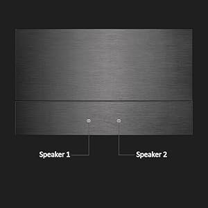 Double Speaker