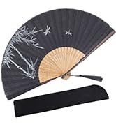 Amajiji Folding Hand Fan