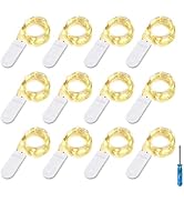 BXROIU Fairy Lights CR2032 Battery Operated,6.6Ft/2Meter 20 LEDs Micro Silver Wire String Lights ...